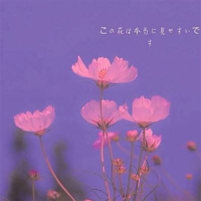 特朗普：伊朗送给美国一份与霍尔木兹海峡有关的“礼物”